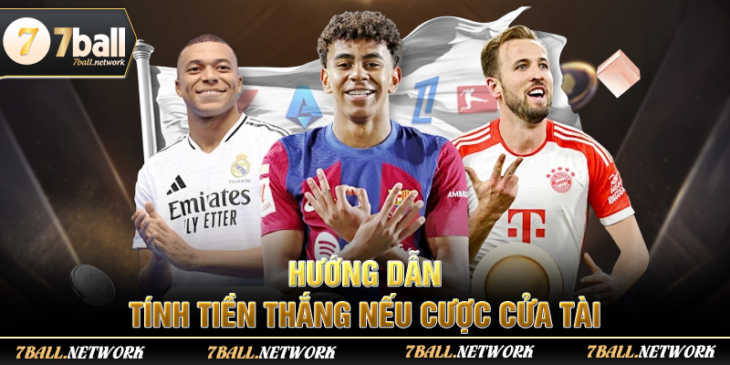 Hướng dẫn tính tiền thắng nếu cược cửa Tài