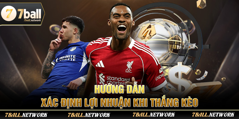 Hướng dẫn xác định lợi nhuận khi thắng kèo